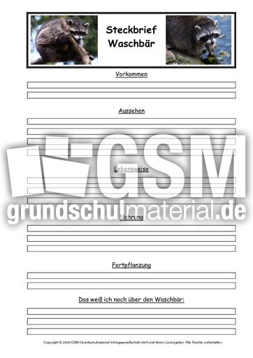 Waschbär-Steckbriefvorlage.pdf